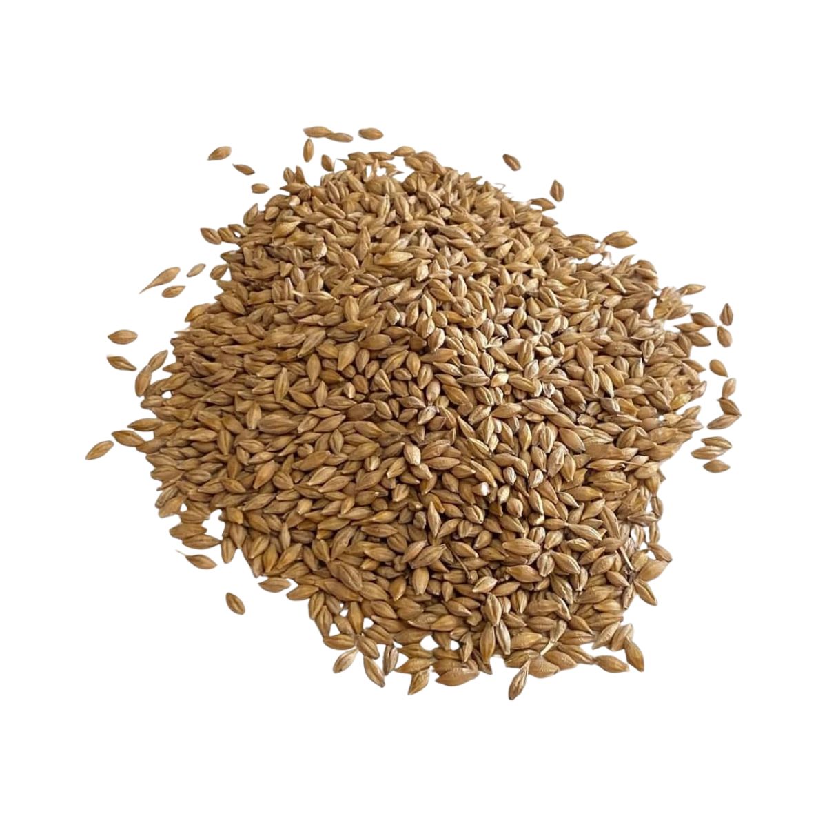 Barley Whole (1kg)