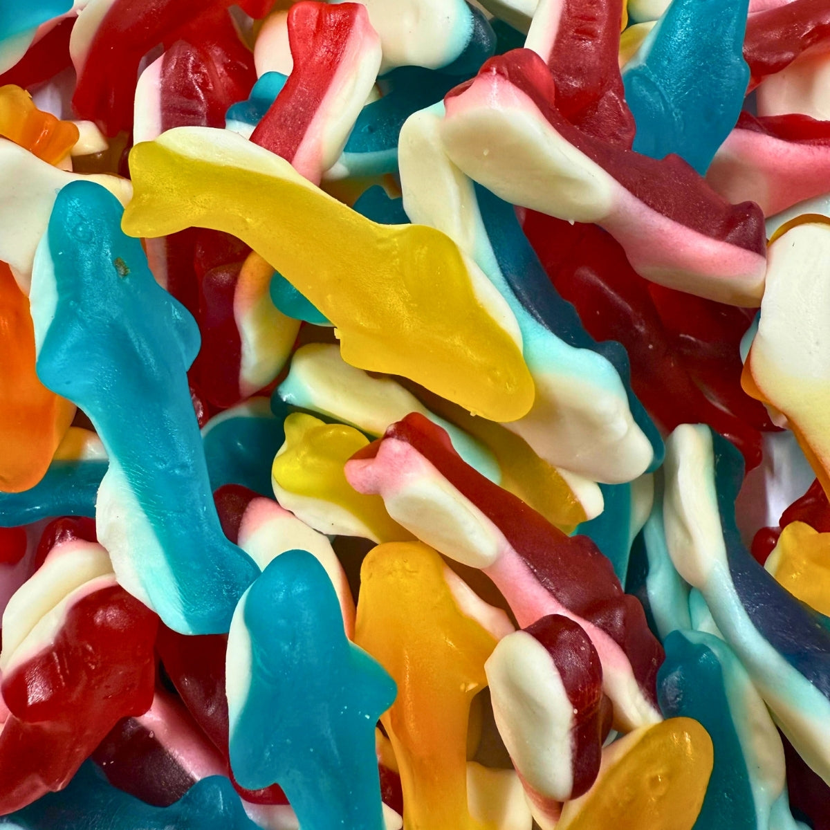 Jelly Dolphins (2kg)