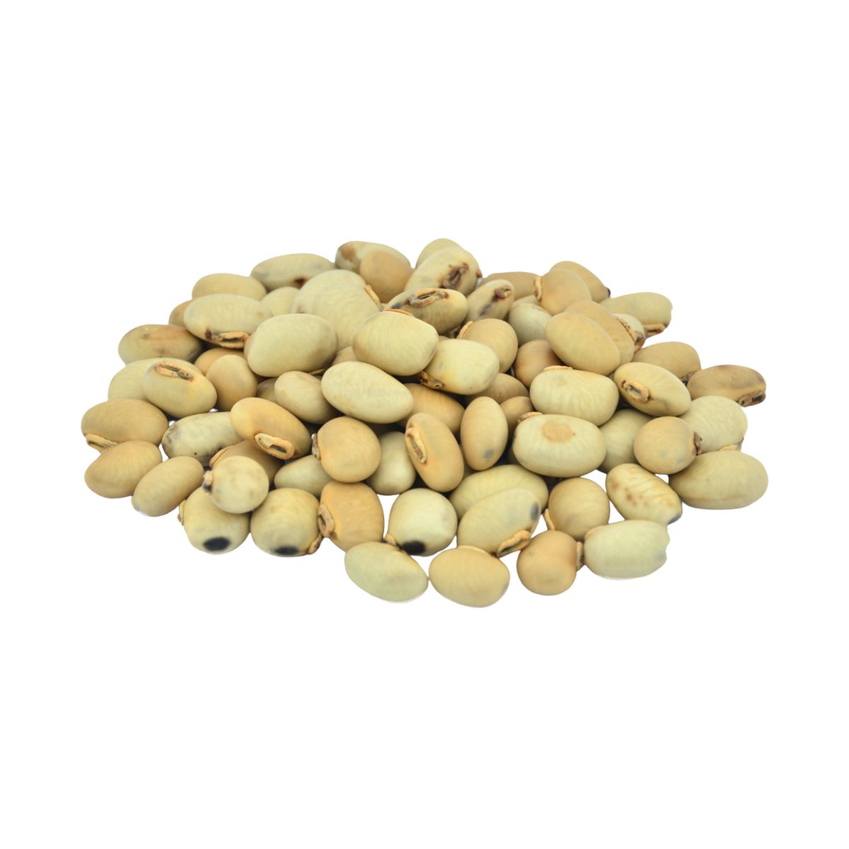 Kaunch Beej Seed (250g)
