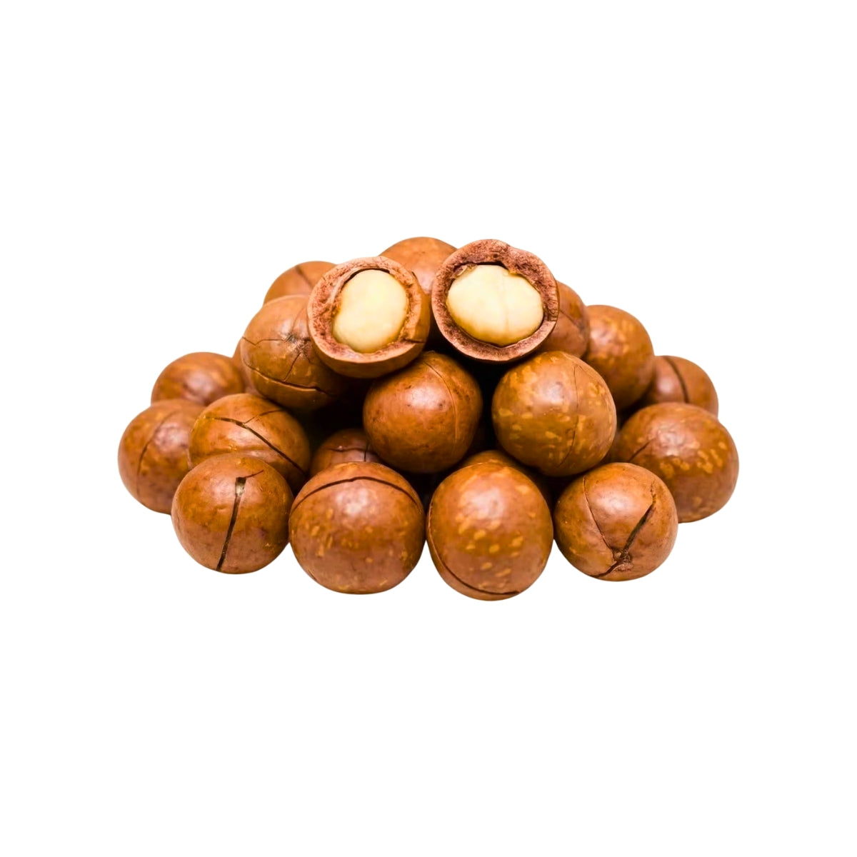 Macadamia in Shell (500g)