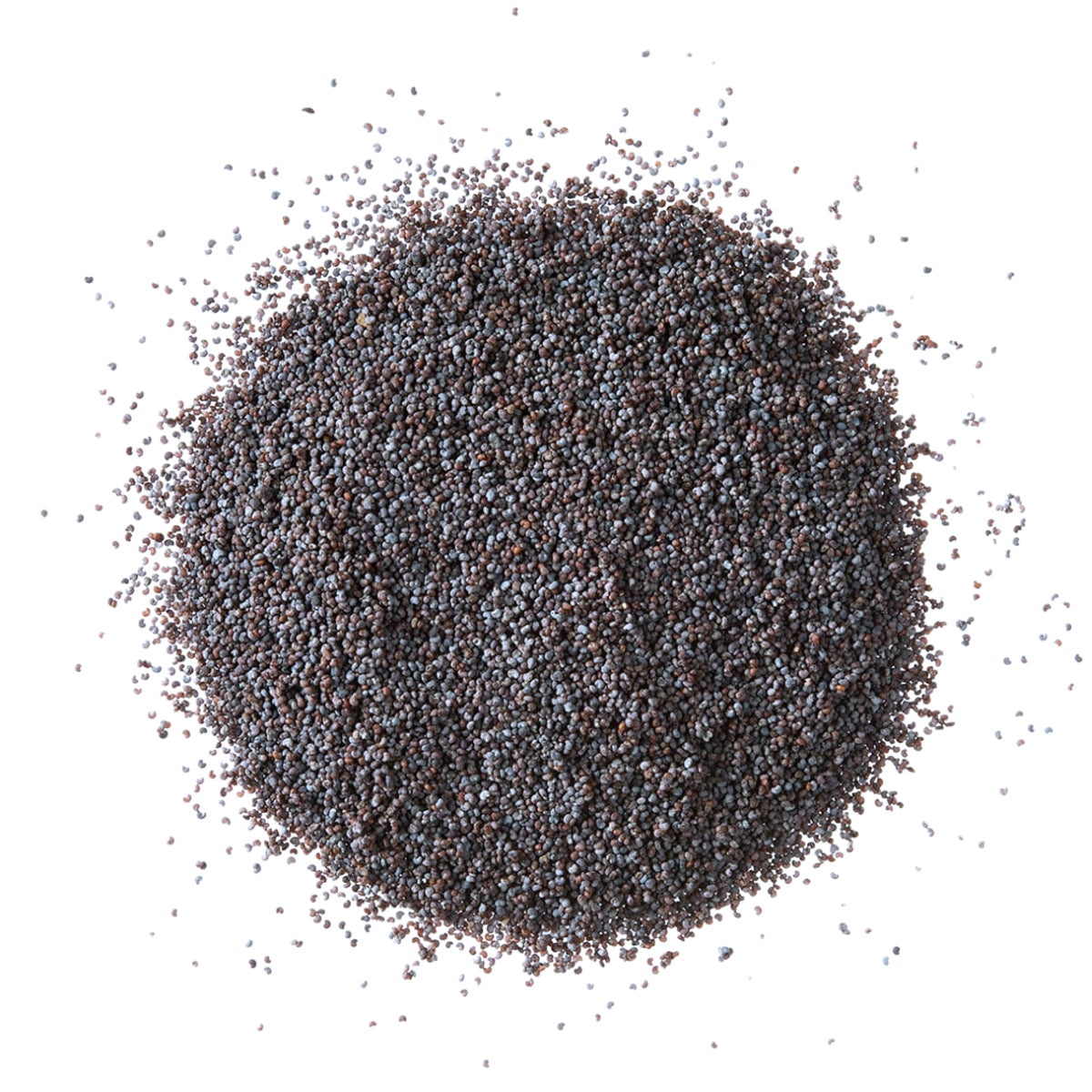 Blue Poppy Seeds (1kg)