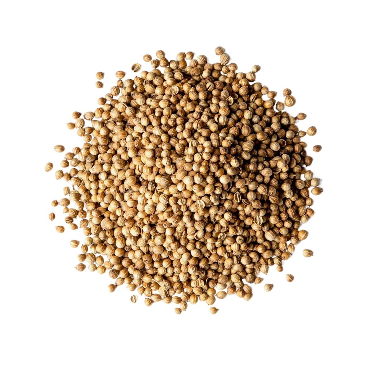 Coriander Seeds (1kg)