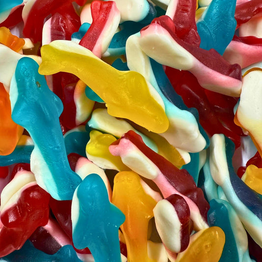 Jelly Dolphins (2kg)