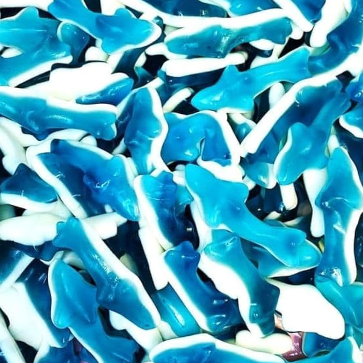 Jelly Sharks (2kg)