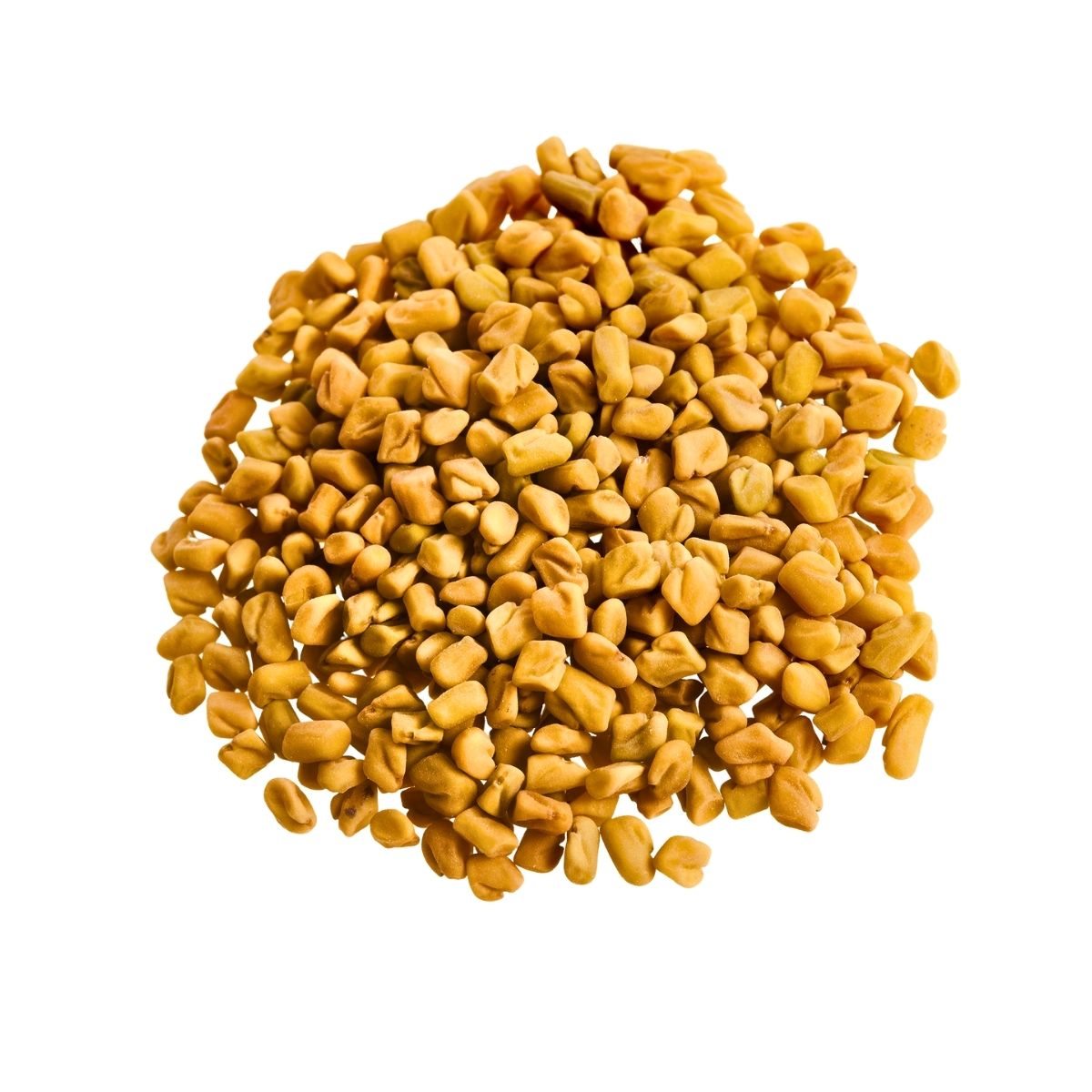 Methi Seeds | Fenugreek Seeds (1kg)