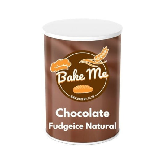 Natural Chocolate Fudgeice (12.5kg)