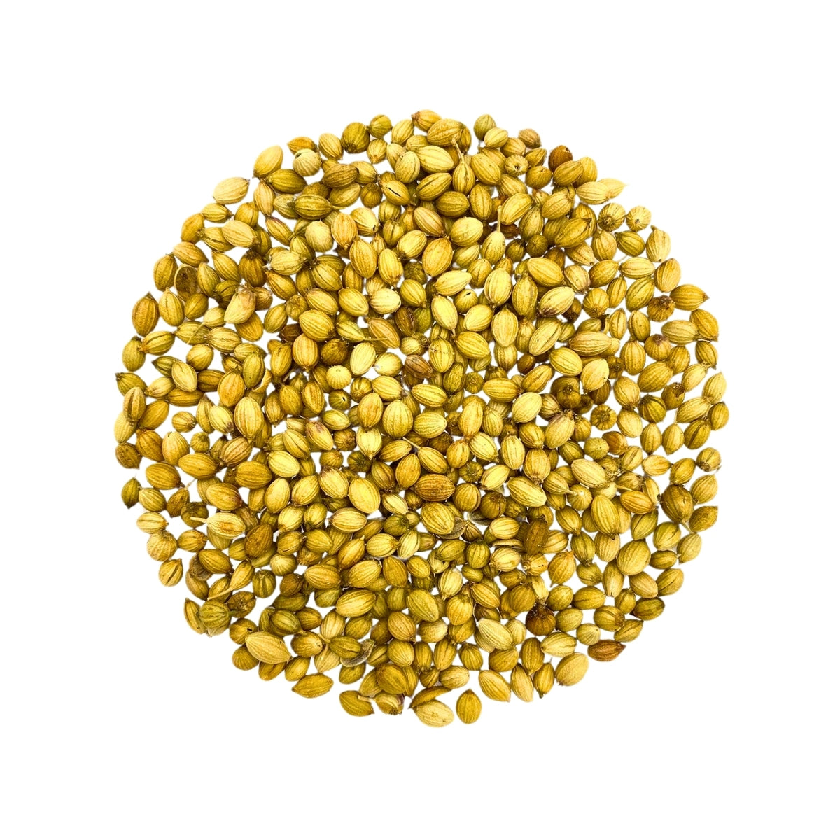 Roasted Coriander Seeds (500g)