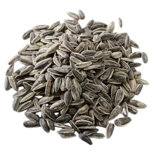 Sunflower Seeds with Shell (10kg) - Roasted & Salted